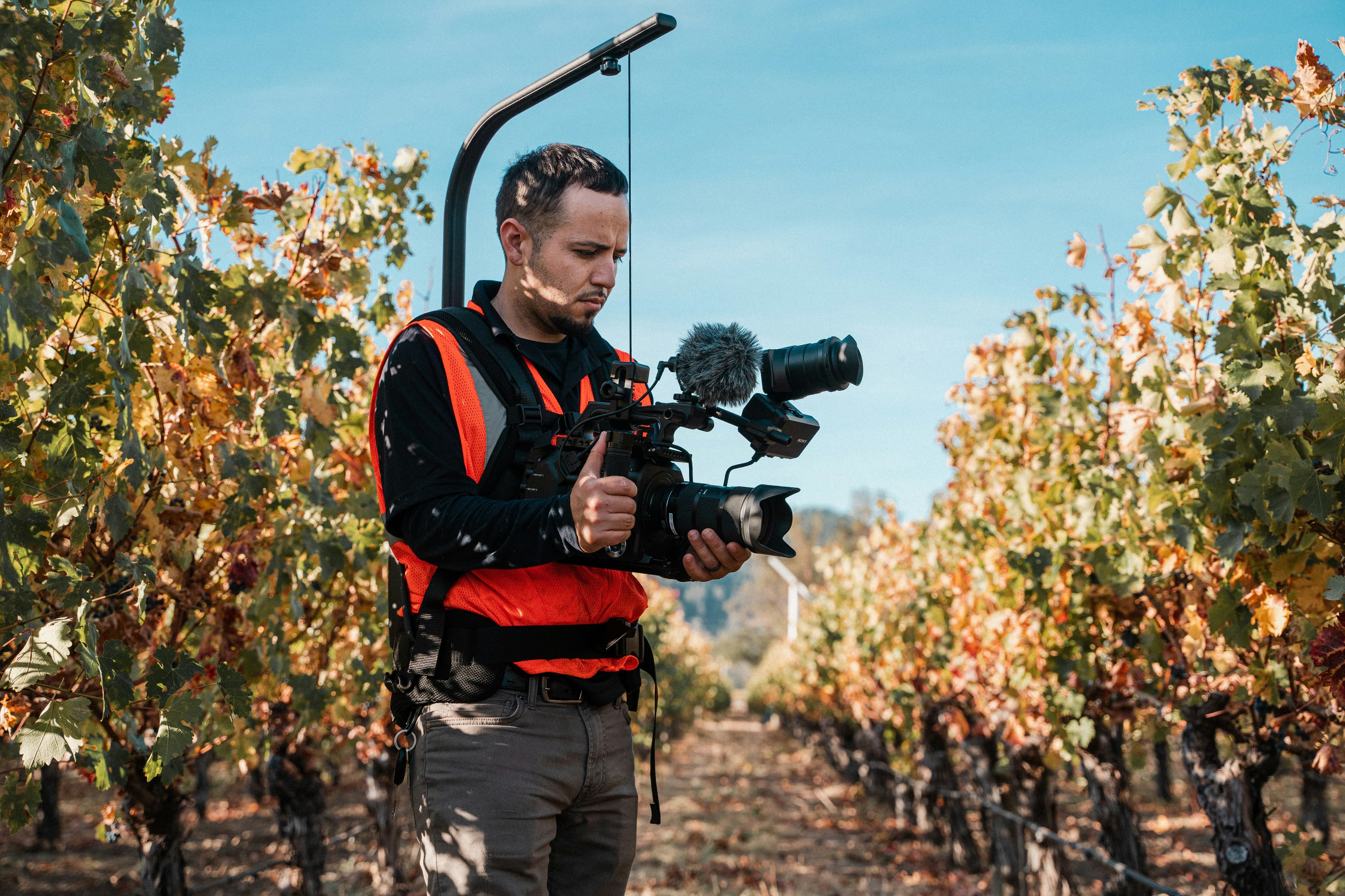 Kameramann mit Gimbal im herbstlichen Weinberg
