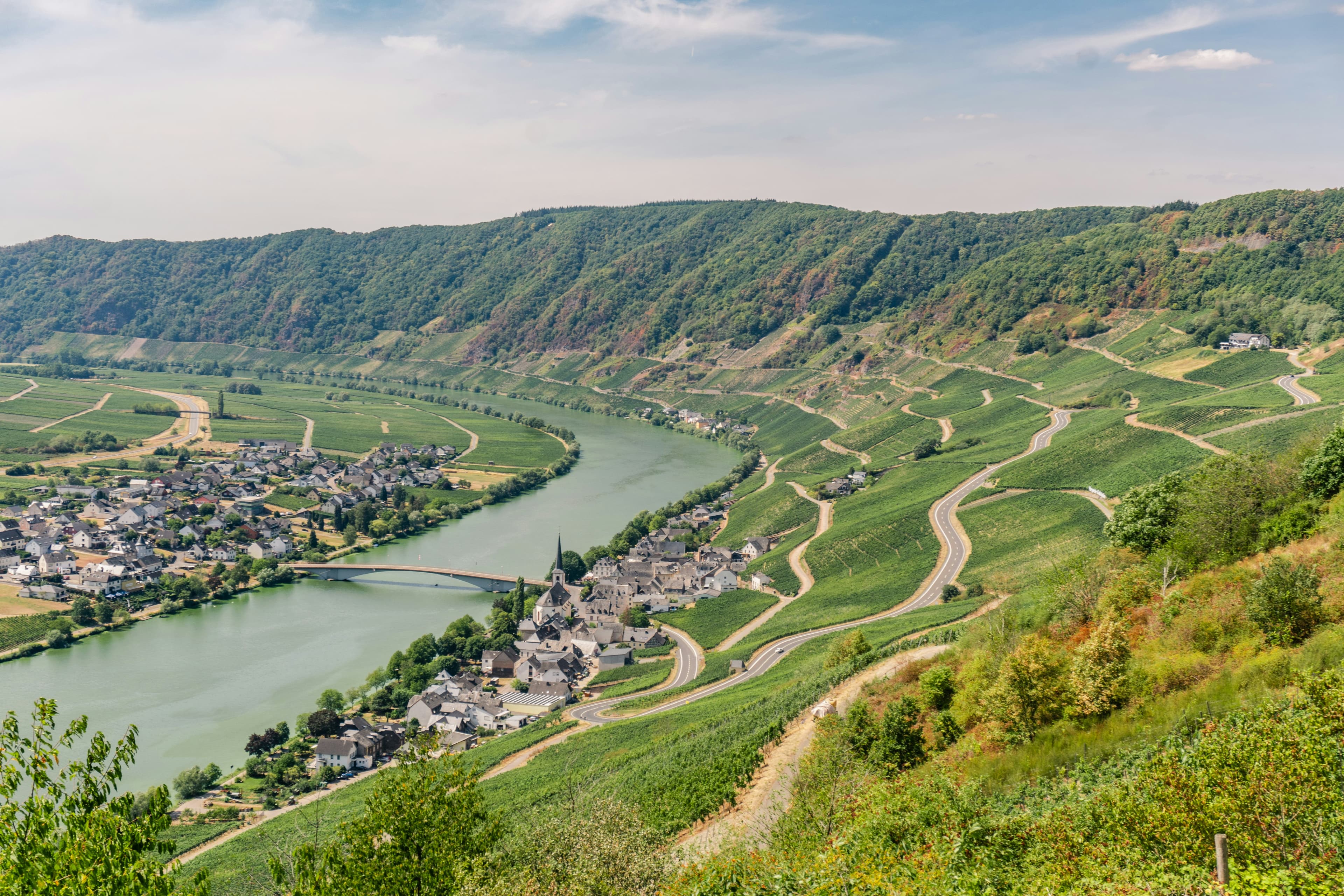 Weindorf an der Mosel zwischen Steillagen
